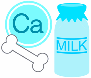 カルシウムの必要量を摂取する