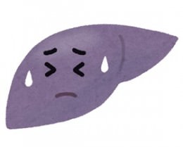 肝臓のイラスト