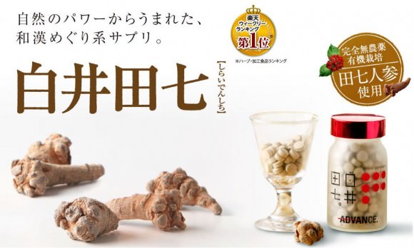 白井田七が結石に効果を発揮します