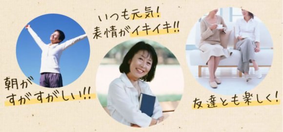 白井田七で毎日が楽しい