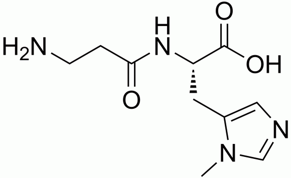 アンセリンが結石を予防してくれる
