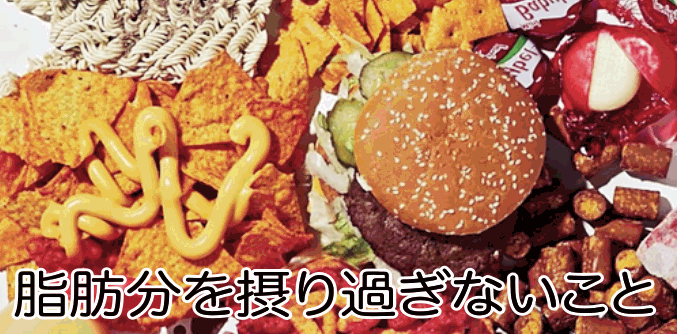 脂肪分を摂り過ぎない